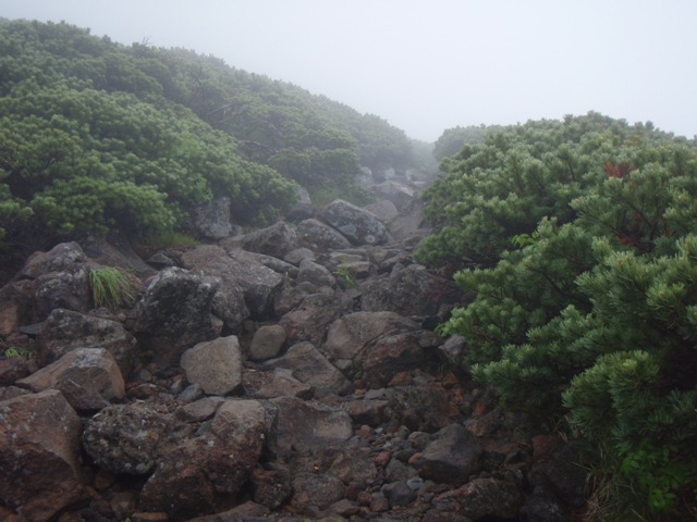 b0039898_1723447.jpg