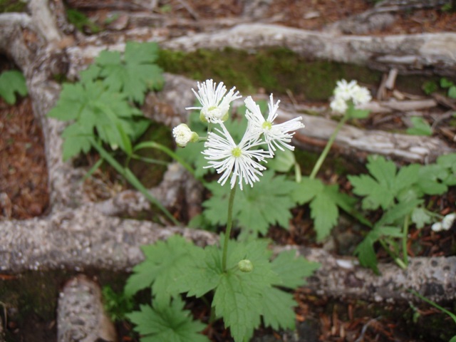 b0039898_17245033.jpg