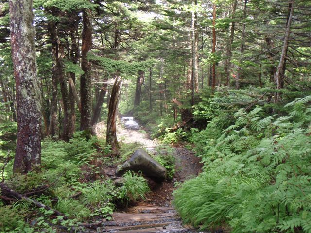 b0039898_17251026.jpg
