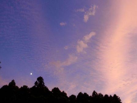 d0069498_21595015.jpg