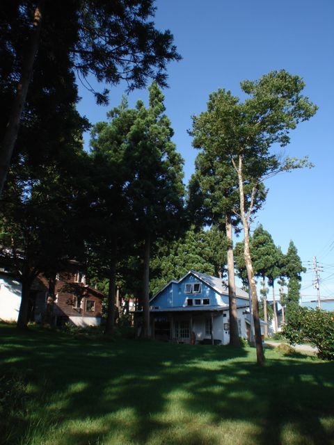 a0061599_7282832.jpg