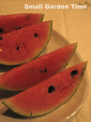 f0211999_23462952.jpg