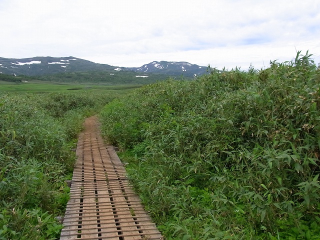 f0157901_2047311.jpg
