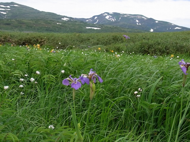 f0157901_2048502.jpg