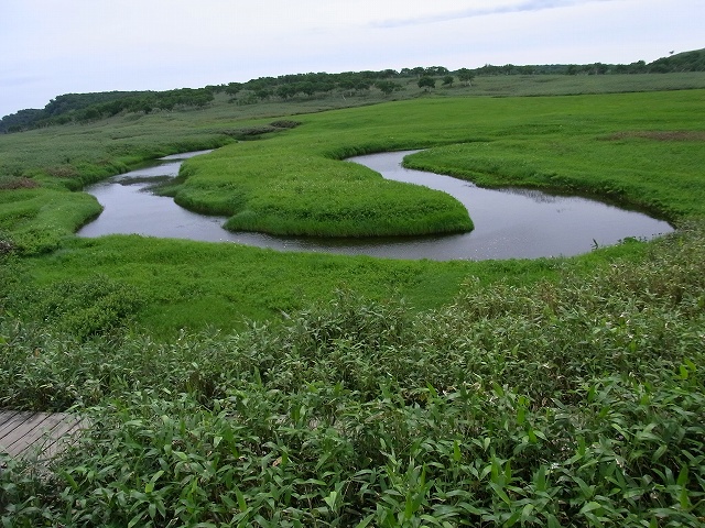f0157901_20495576.jpg