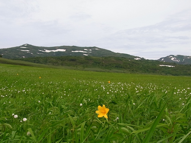 f0157901_20504615.jpg