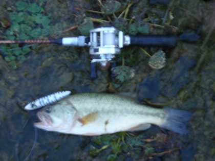 c0023804_15112490.jpg