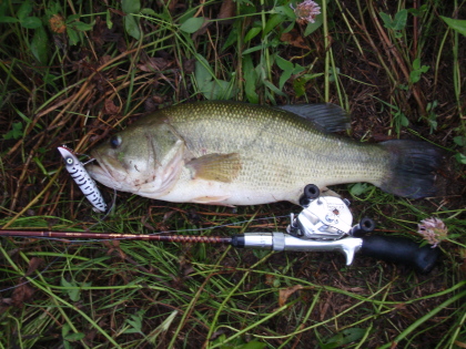 c0023804_15131276.jpg