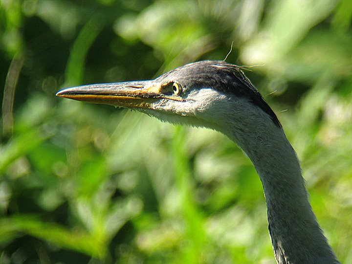 c0110510_2156447.jpg