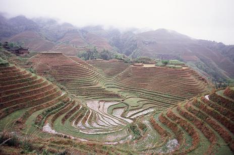 f0036820_11142580.jpg
