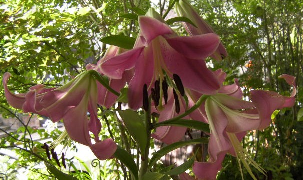 c0204121_210937.jpg