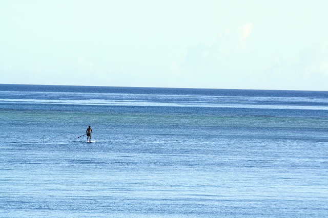 c0160825_1527622.jpg