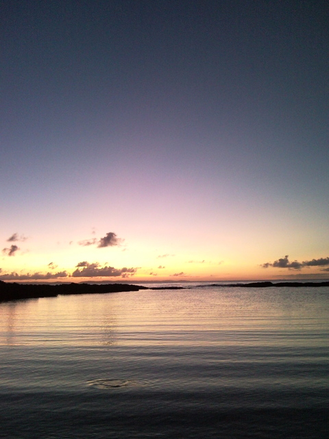 f0197325_1159118.jpg