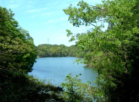 f0213825_1426204.jpg