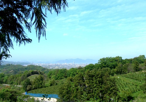 f0213825_16241429.jpg