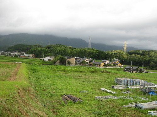 d0158028_1531659.jpg