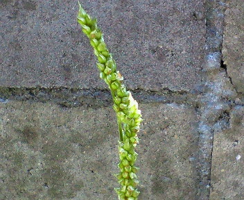 b0108729_8201961.jpg