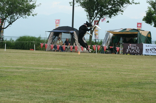 b0085331_141421.jpg
