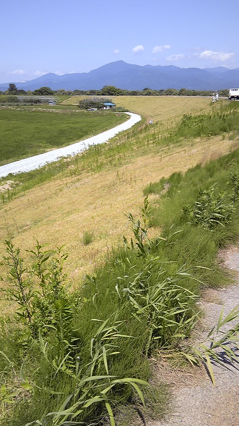 f0118332_13552933.jpg