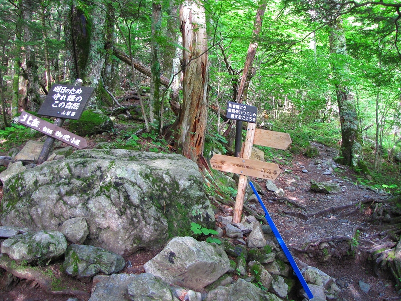 b0097836_950135.jpg