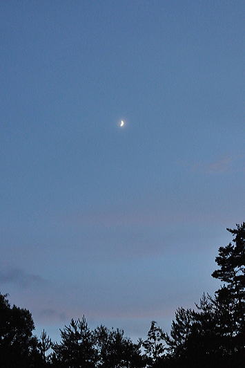 f0094843_21261119.jpg