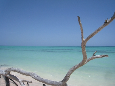 d0160647_13151091.jpg