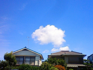 f0179947_1013036.jpg