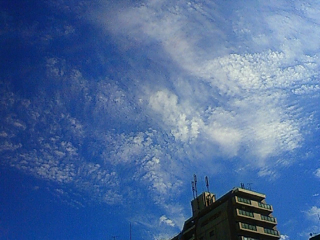 f0179947_10212537.jpg