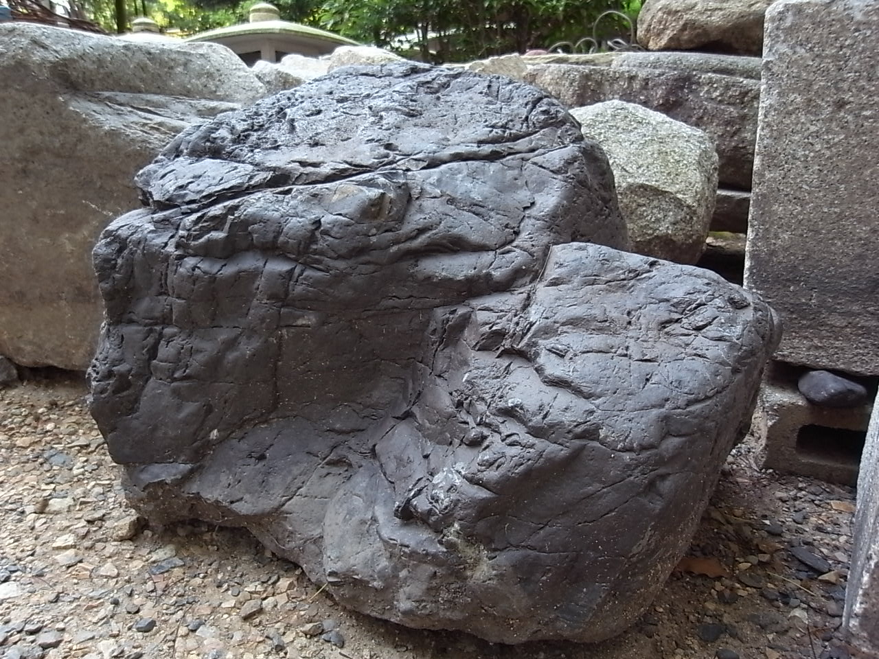 e0126548_17205677.jpg