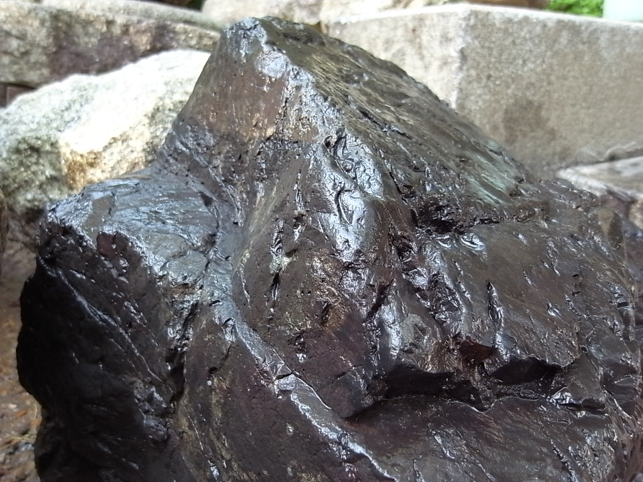 e0126548_17214621.jpg