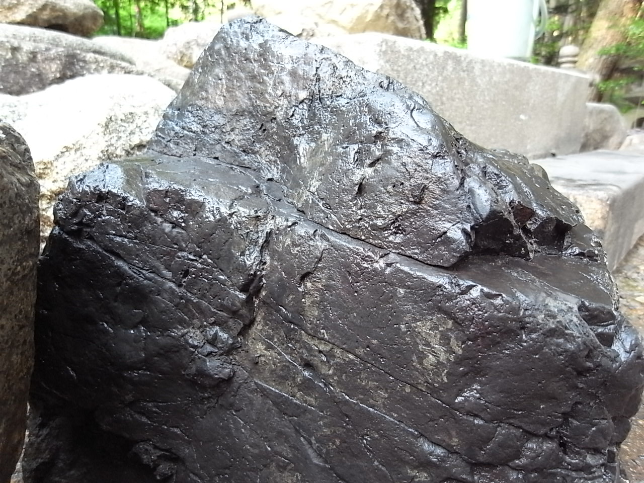 e0126548_1722573.jpg