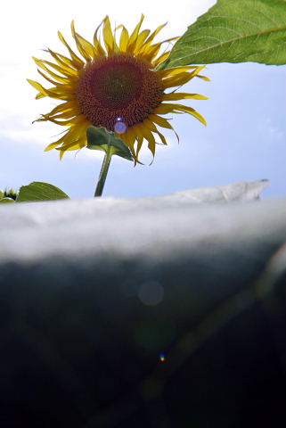 f0214648_2165451.jpg