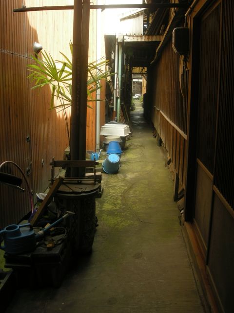 d0128252_110384.jpg