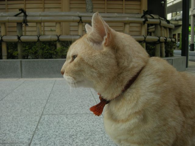 d0128252_1132249.jpg