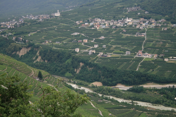 f0077159_433455.jpg