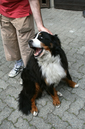 f0077159_433757.jpg