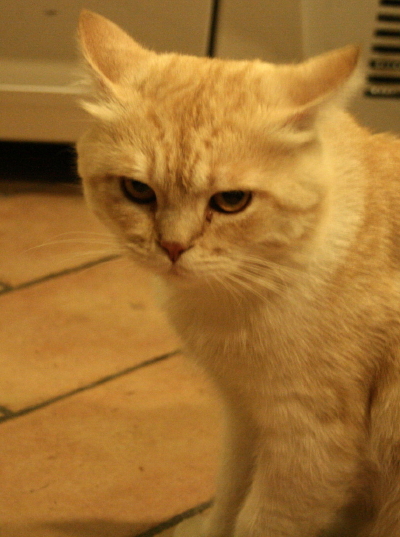 f0077159_443970.jpg