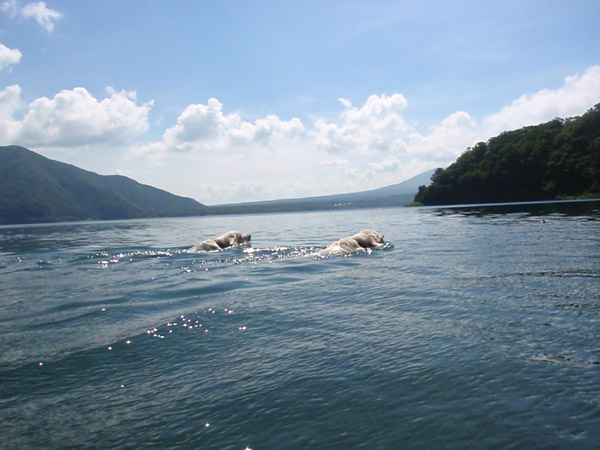 c0110361_14445731.jpg