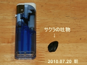 d0054461_22182092.jpg
