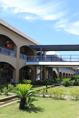 f0181462_1841524.jpg