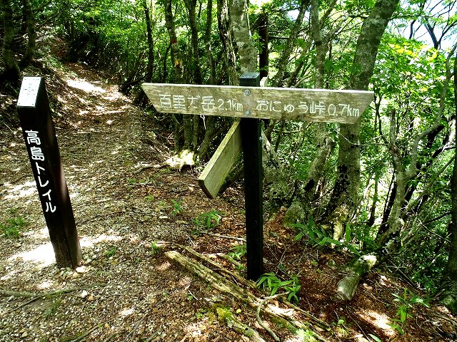b0044663_23414097.jpg