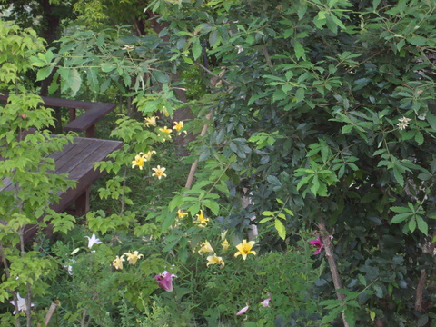 d0152765_2221246.jpg