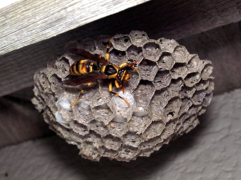 b0130166_21202686.jpg