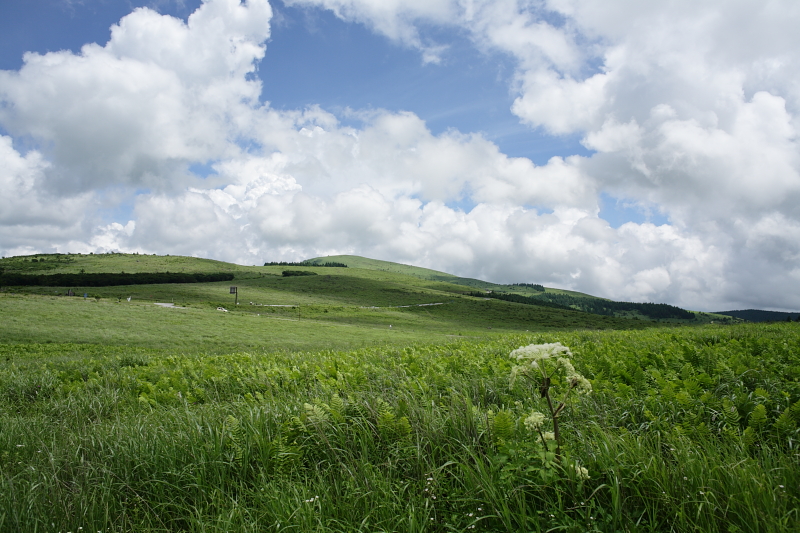 b0027267_00011.jpg