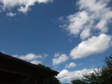 c0019268_0142919.jpg