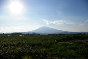 d0131668_17453360.jpg