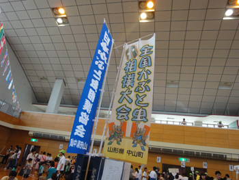 d0171870_925437.jpg