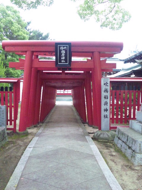e0165472_169103.jpg