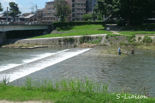 b0139477_23341555.gif