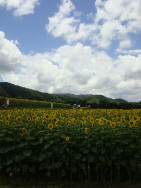b0075888_950547.jpg